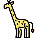 giraffe