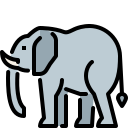 l'éléphant