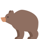 곰