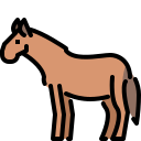 koń