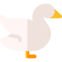 Swan