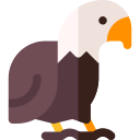 halcón