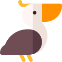 Pelican