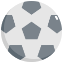 palla da calcio