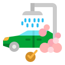 lavado de autos