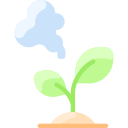 식물