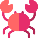 Crab