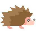 Hedgehog