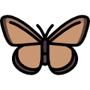 mariposa