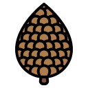 Pine cone