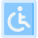 disabilità