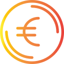 moneta in euro