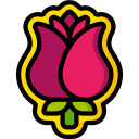 rosa