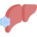 Liver