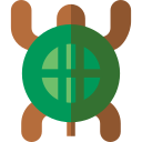 schildkröte
