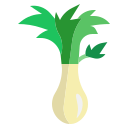 Spring onion