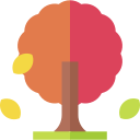 albero d'autunno