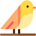 pássaro