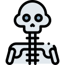 skelett