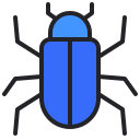insecte