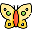 mariposa