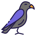 corbeau