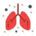 polmoni