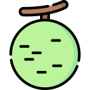 cantaloup-melone