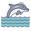 golfinho