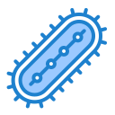 bacterias