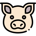 schwein