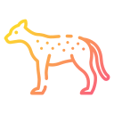 Cheetah