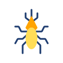 insect