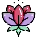 lotus