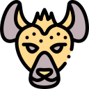 hyène