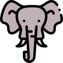 elefante