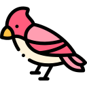 pájaro