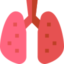 Lungs