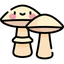 champignons