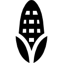 Corn