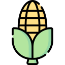 Corn