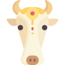 heilige koe