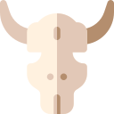 crâne de taureau