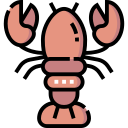 Lobster
