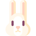 lapin