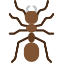 mrówka