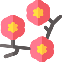 kirschblüte