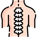 columna espinal
