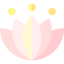 fleur de lotus