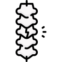 colonna vertebrale